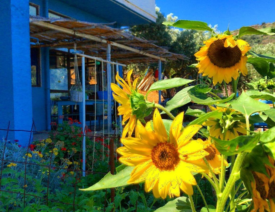 Saveriako, Paradise For Relaxed Free Spirits Villa Agia Pelagia Exterior foto