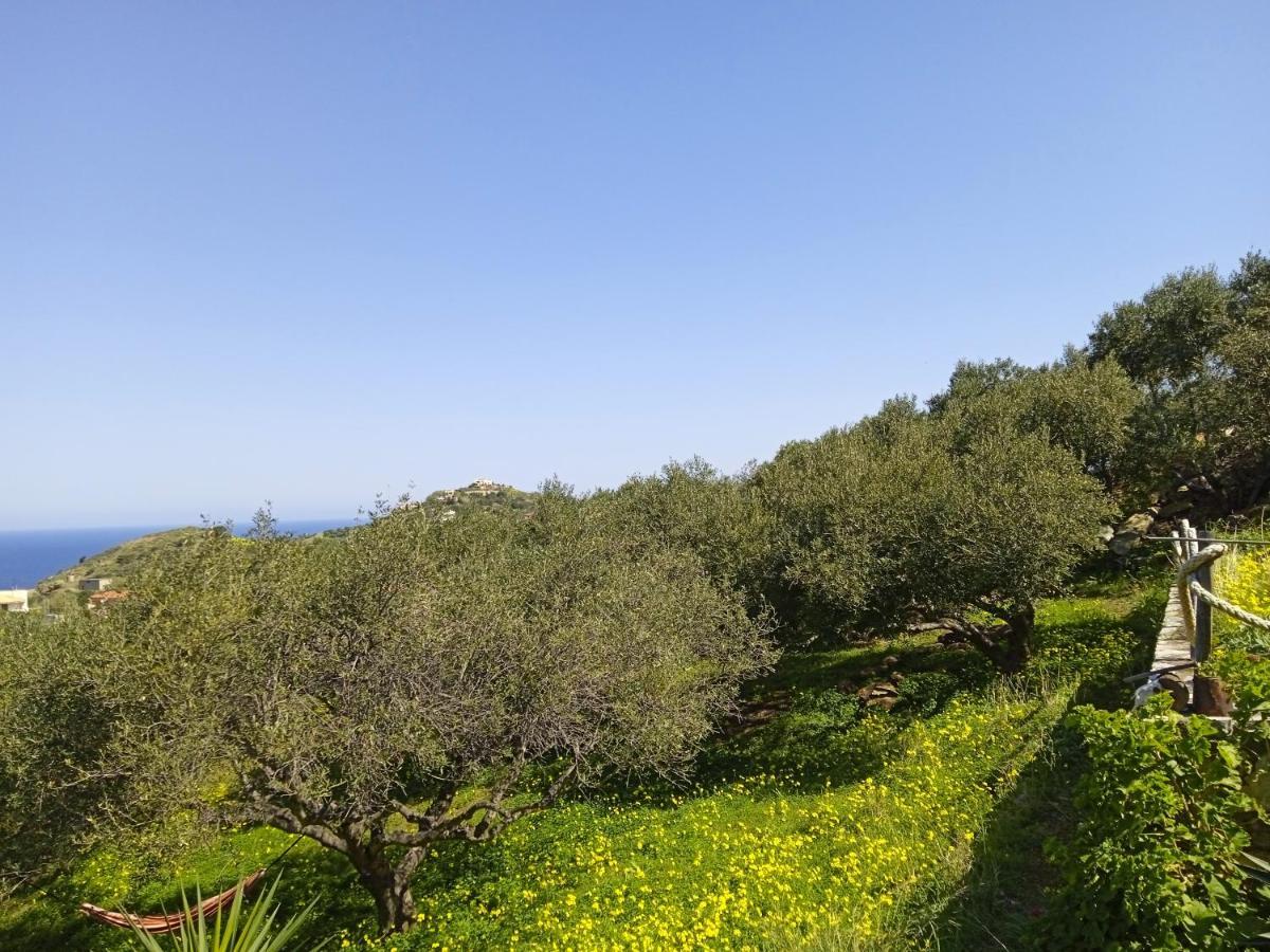 Saveriako, Paradise For Relaxed Free Spirits Villa Agia Pelagia Exterior foto