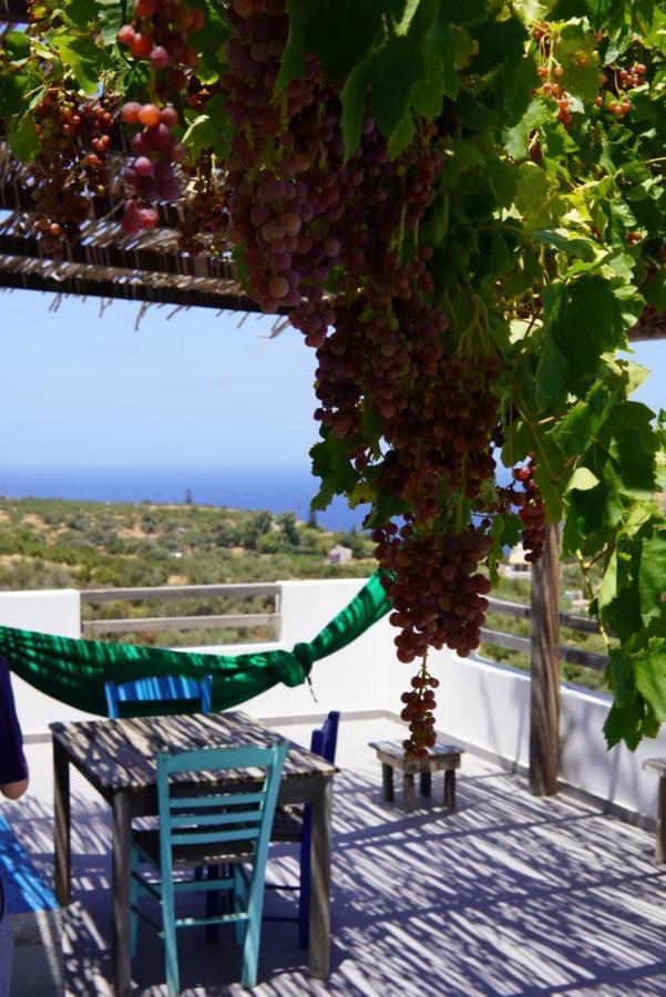 Saveriako, Paradise For Relaxed Free Spirits Villa Agia Pelagia Exterior foto