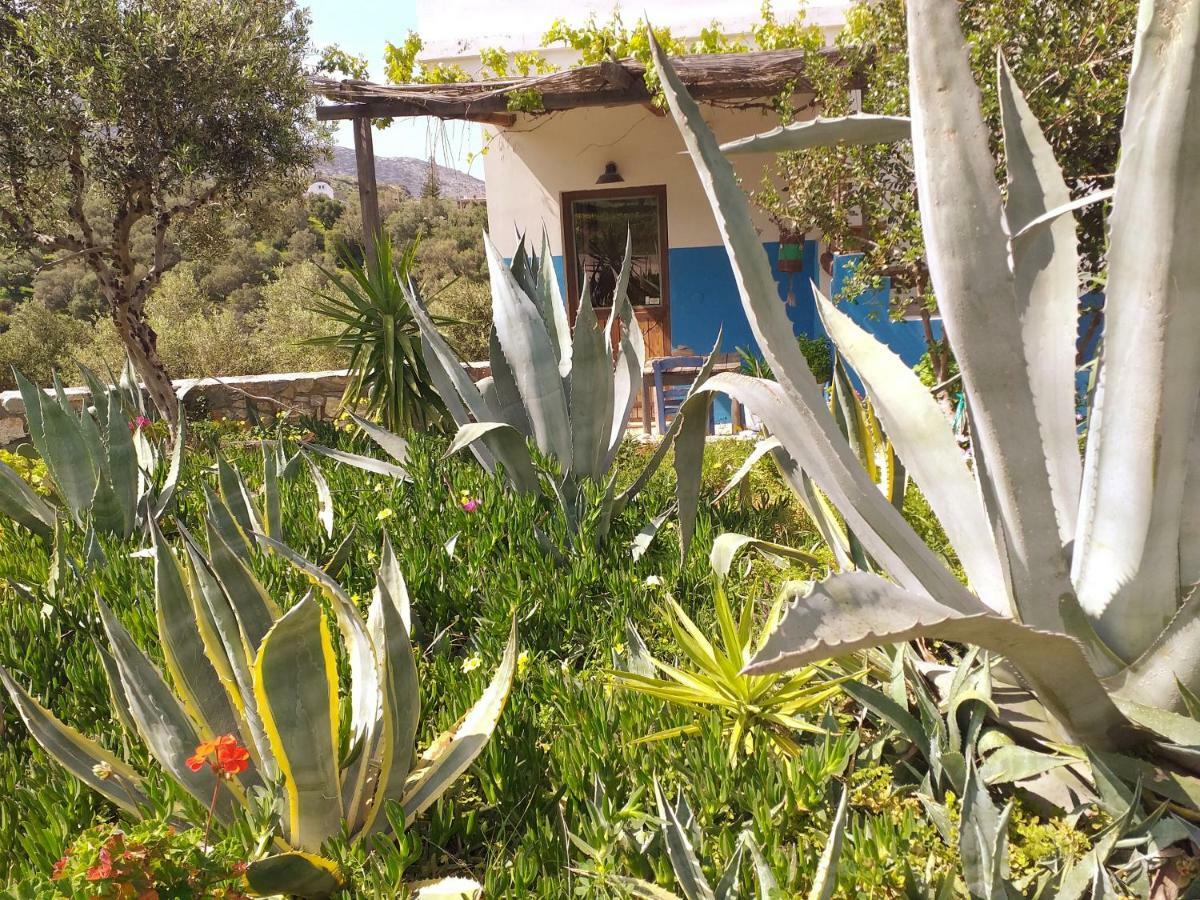 Saveriako, Paradise For Relaxed Free Spirits Villa Agia Pelagia Exterior foto